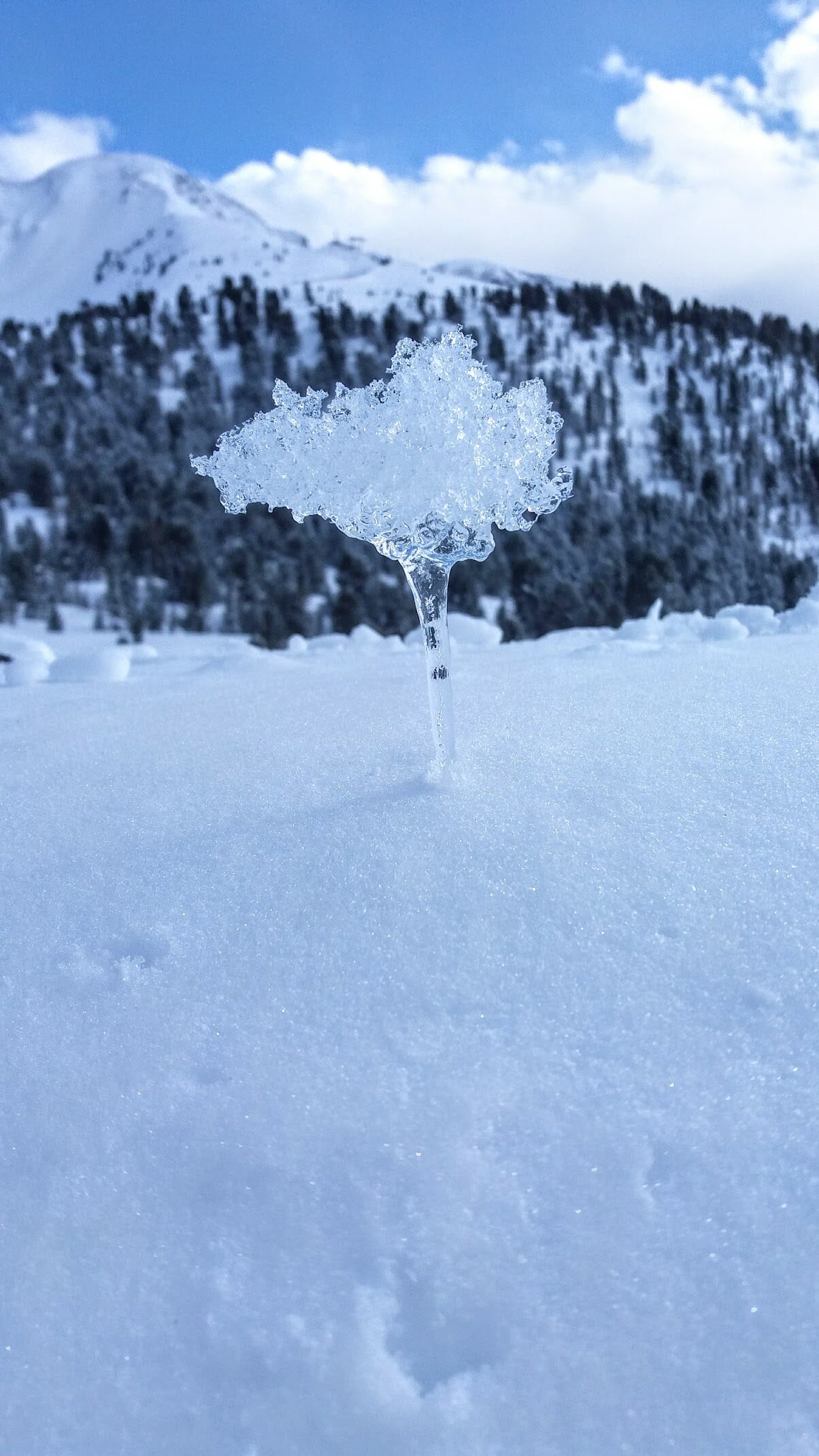 ICE Tree